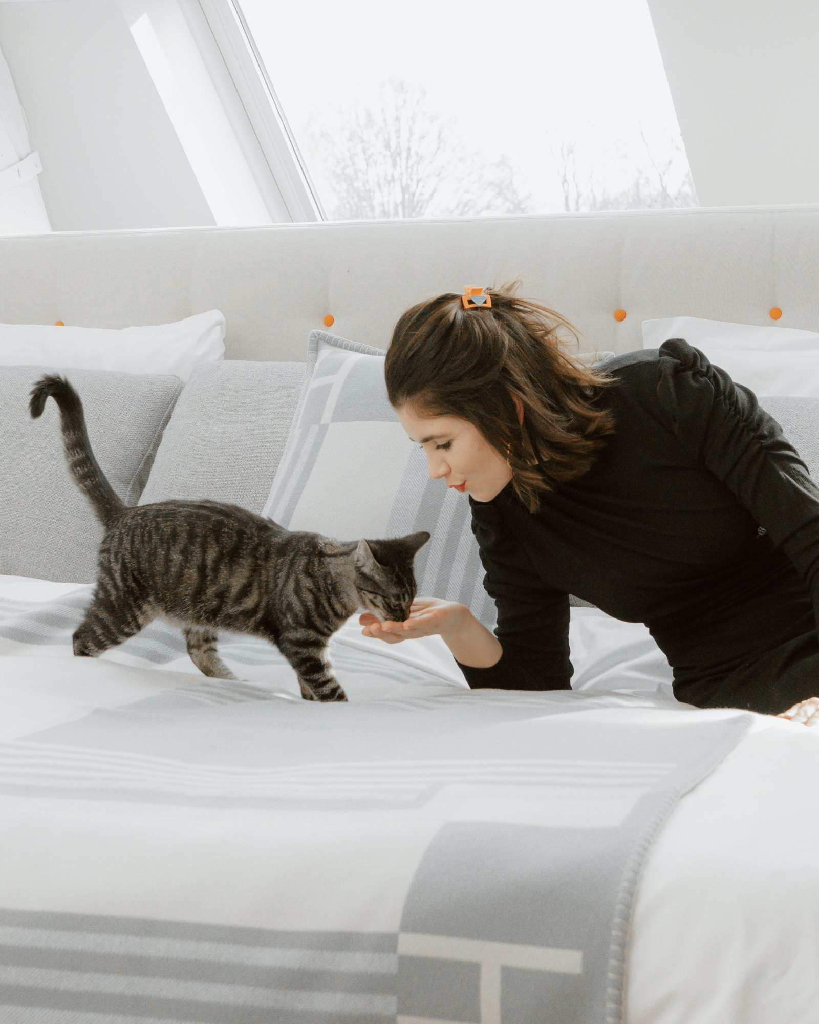 Katze auf dem DUXIANA Bett