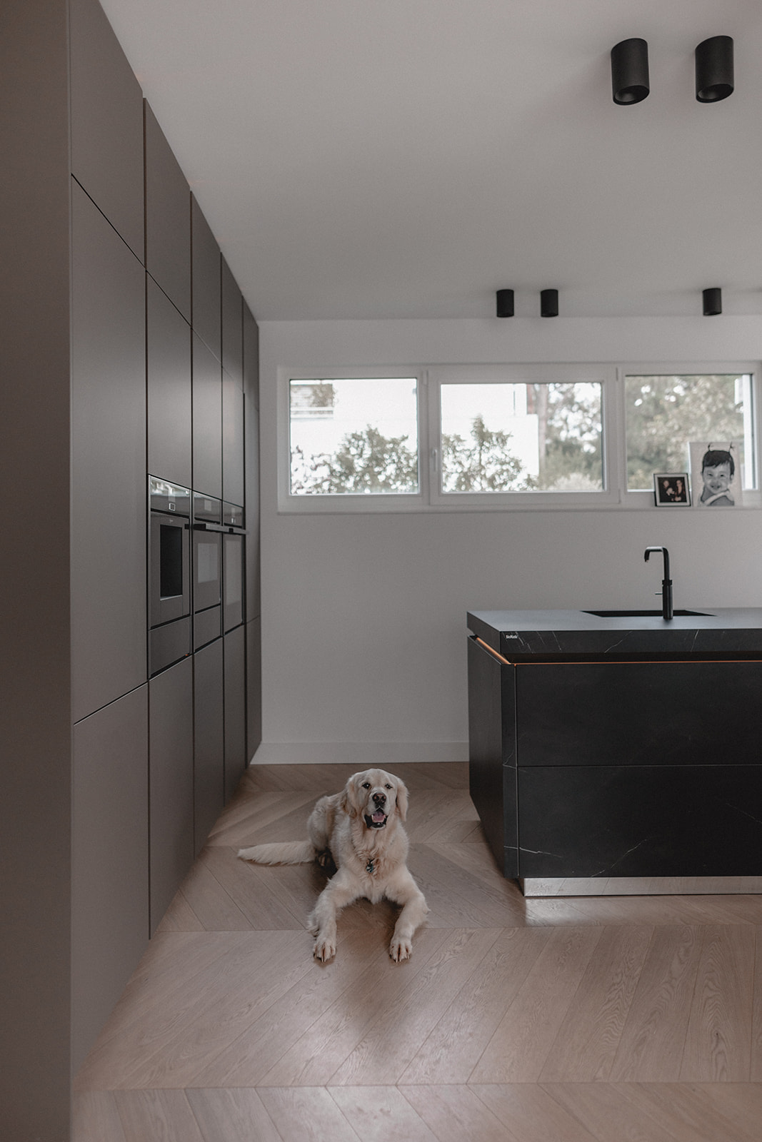 SieMatic Küche mit grifflosen Hochschränken und Kochinsel